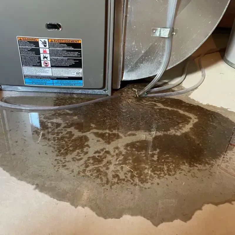 Appliance Leak Cleanup in Green Acres, CA